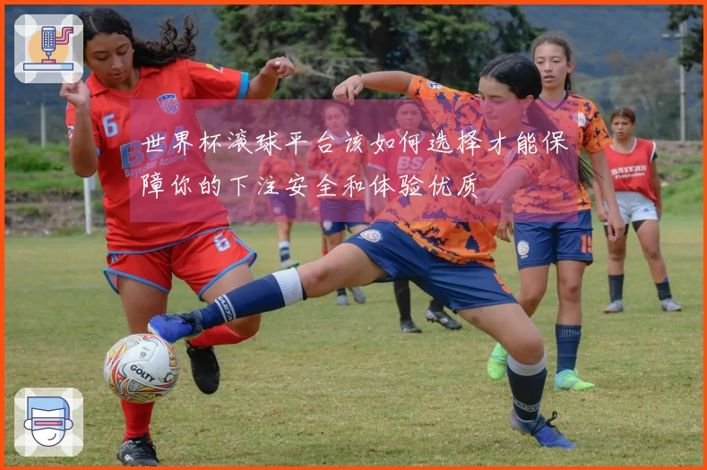 世界杯滚球平台该如何选择才能保障你的下注安全和体验优质