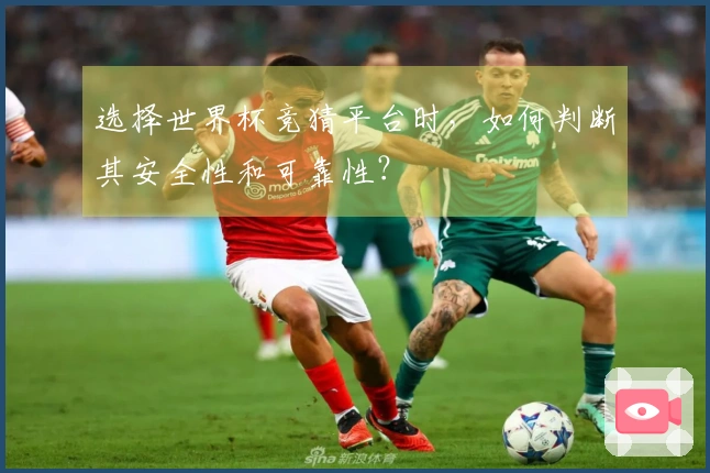选择世界杯竞猜平台时，如何判断其安全性和可靠性？